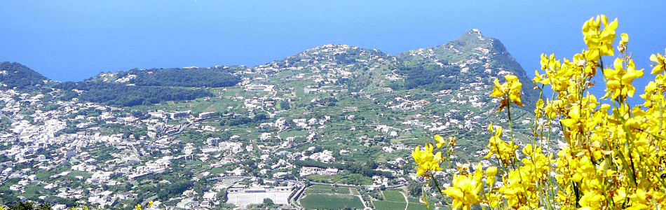 Forio. Blick auf Punta Imperatore