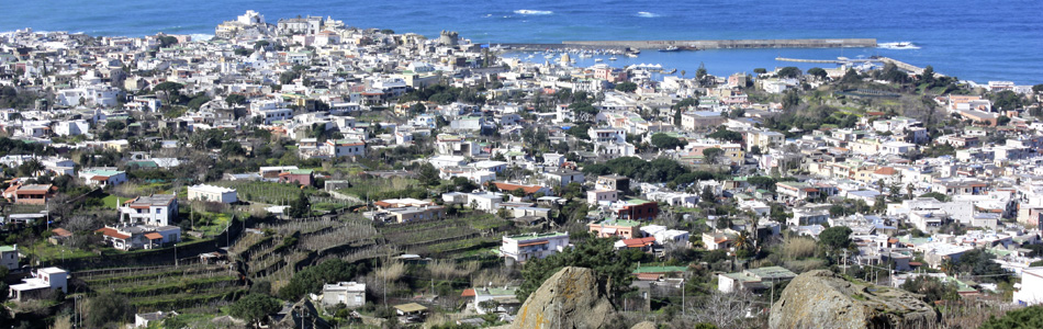 Forio. Altstadt und Hafen