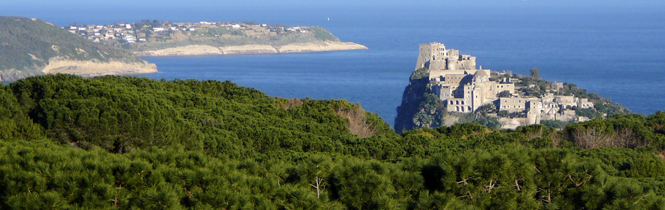 Ischia. Blick auf den Castello Aragonese