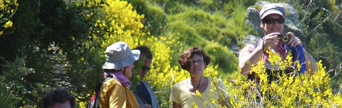 Ischia. Wanderung in der Natur