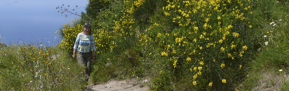 Ischia. Wandernweg in der Natur Pur