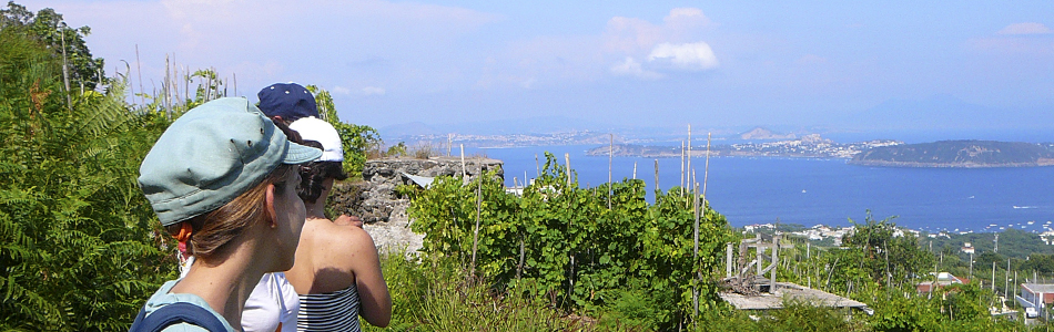 Ischia. Wandern auf Wanderwege mit Wanderführer