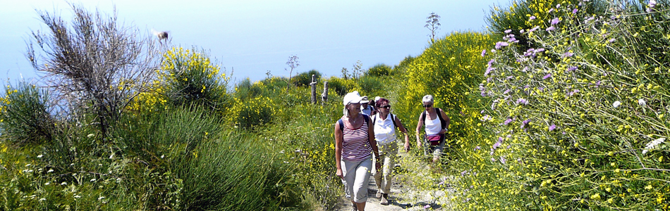 Ischia. Wandern auf Wanderwege mit Wanderführer