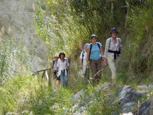 Ischia. Wandern in Wandergruppe mit Wanderführer auf den Wanderwege der Insel