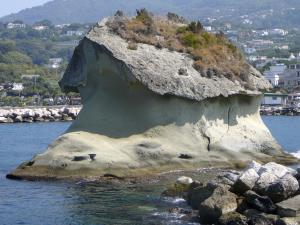 Lacco Ameno. Der Steinpilz