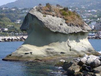 Lacco Ameno. Der Steinpilz